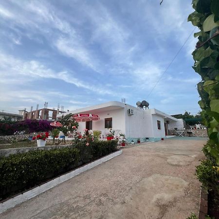 Teo Apartment Sarande Ngoại thất bức ảnh